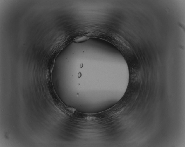 X0000093090748200710171137