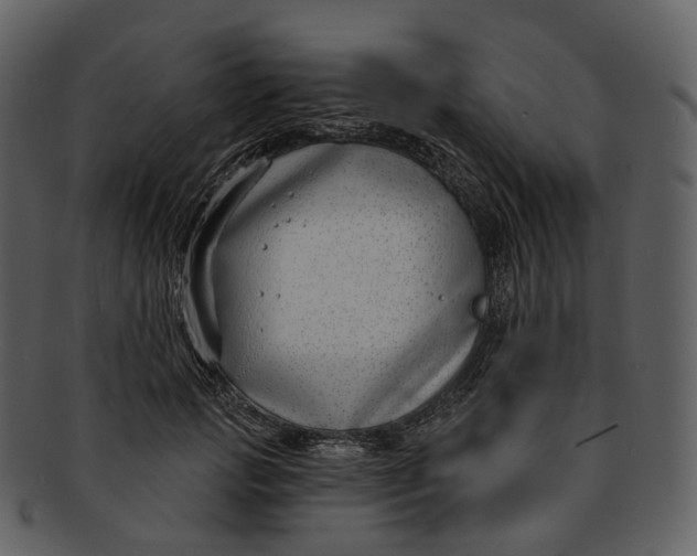 X0000093090749200710171137