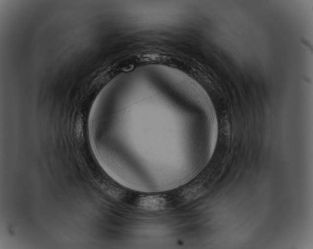 X0000093090754200710171137