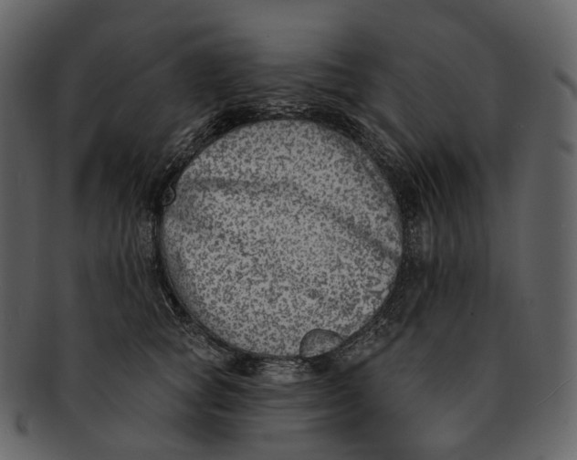 X0000093090757200710171137