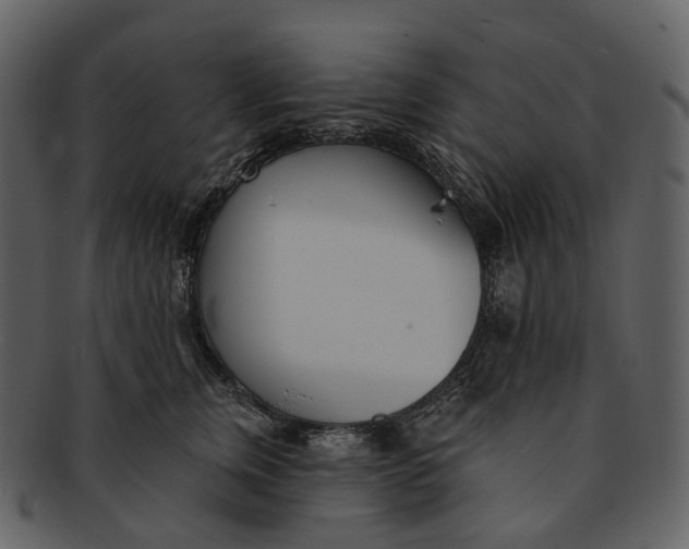 X0000093090759200710171138