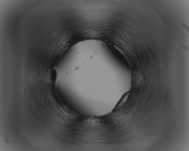 X0000093090760200710171138