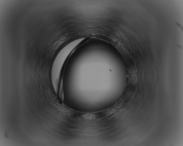 X0000093090762200710171138