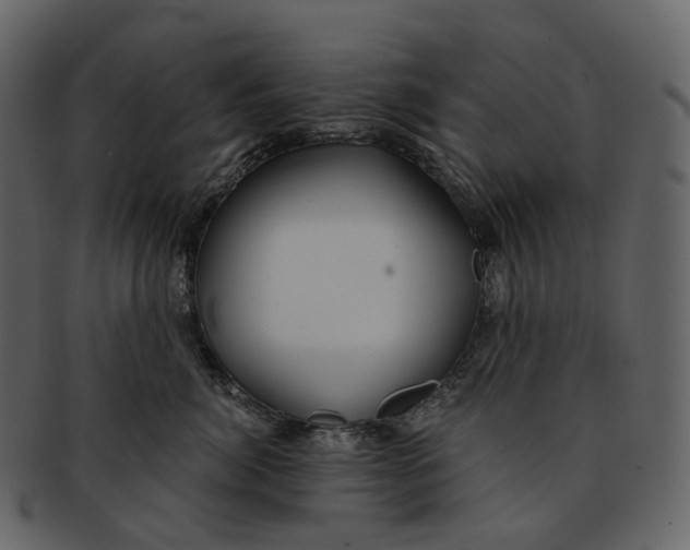 X0000093090764200710171138