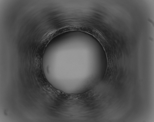 X0000093090773200710171137