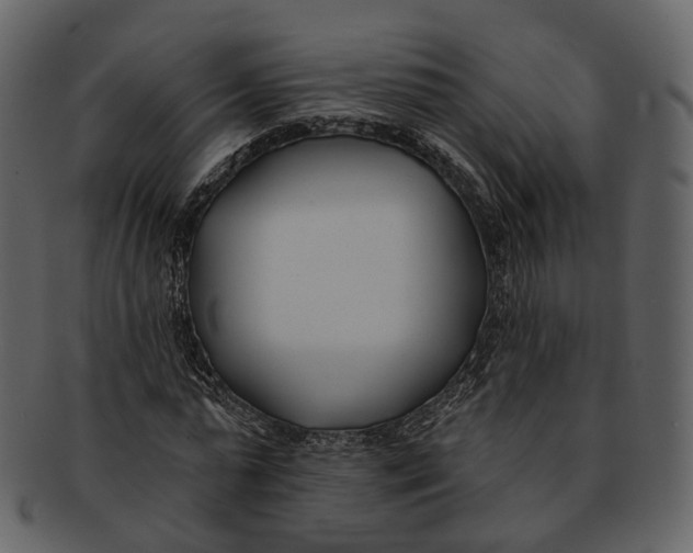 X0000093090775200710171137