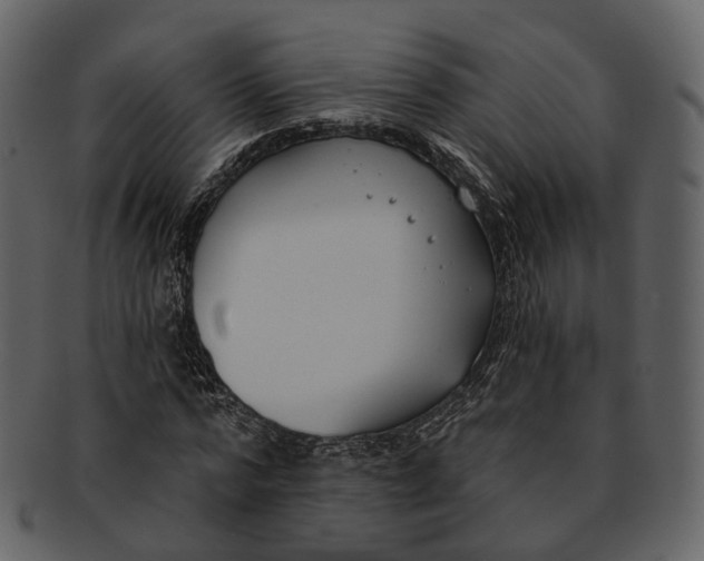 X0000093090776200710171137