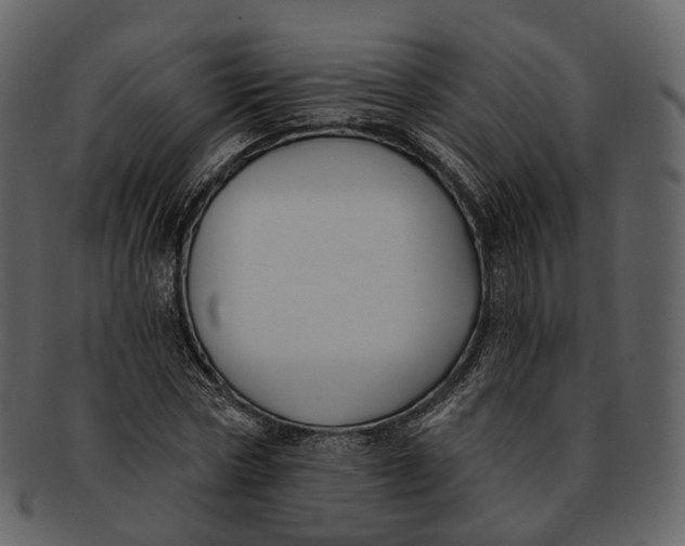 X0000093090778200710171137