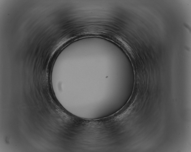 X0000093090779200710171137