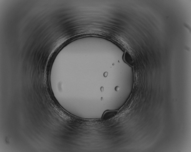 X0000093090780200710171137