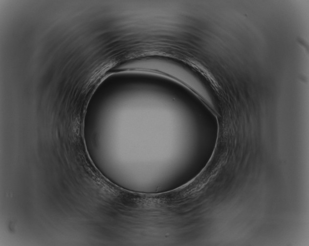 X0000093090785200710171137