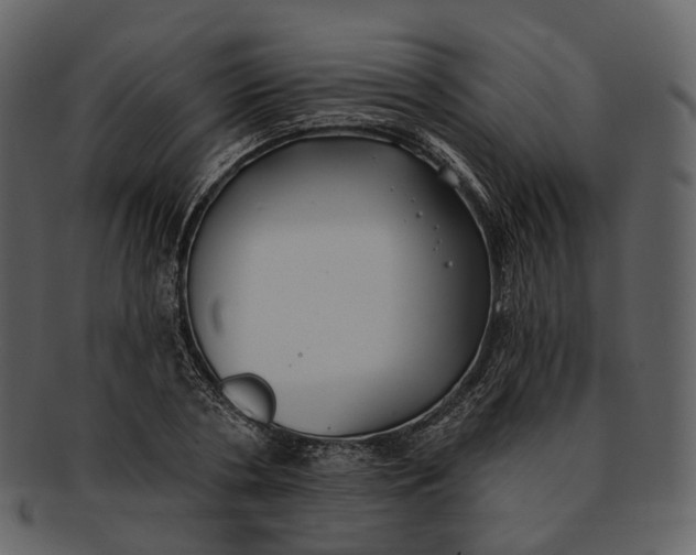 X0000093090786200710171137