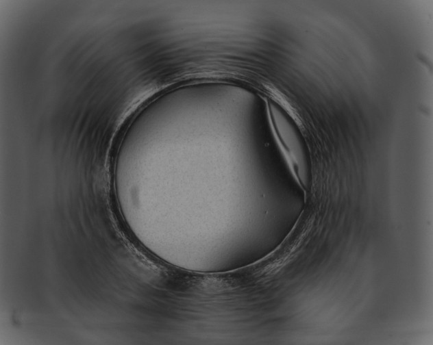 X0000093090787200710171137