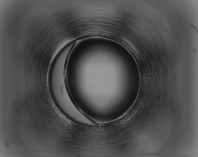 X0000093090788200710171137