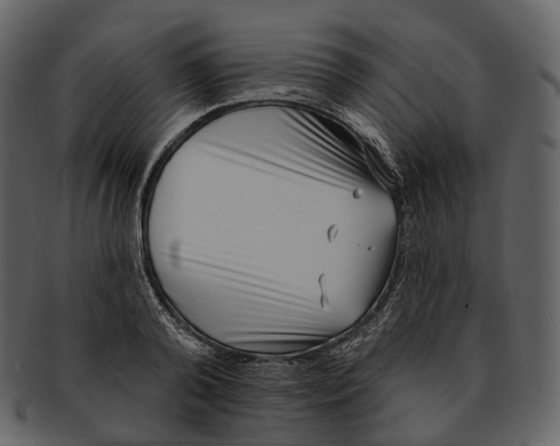 X0000093090792200710171137