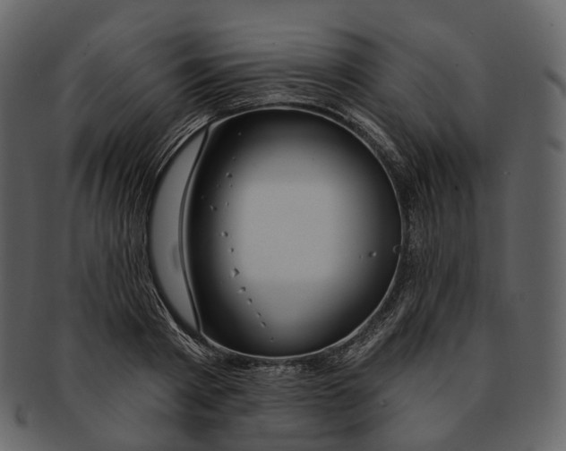 X0000093090793200710171136