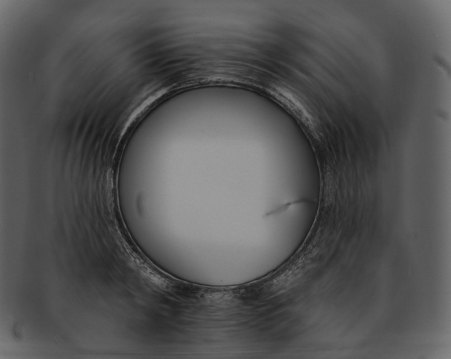 X0000093090798200710171136