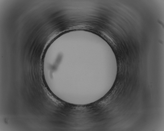 X0000093090800200710171136