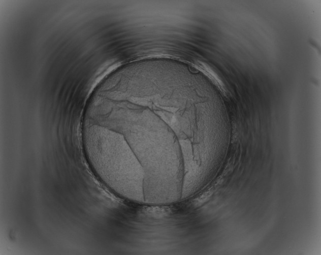 X0000093090806200710171136