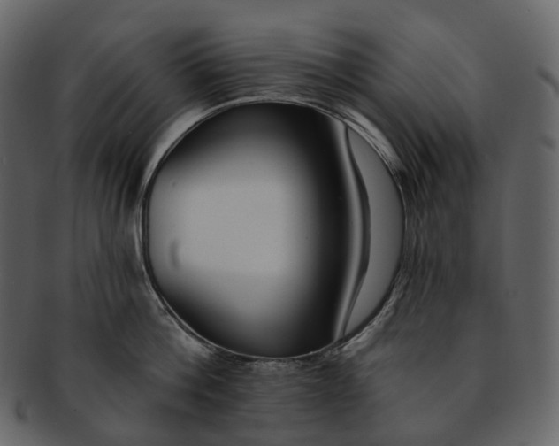 X0000093090812200710171136