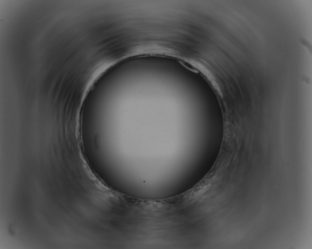 X0000093090815200710171136