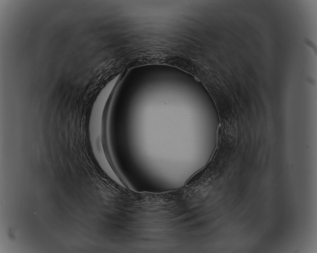 X0000093090818200710171136