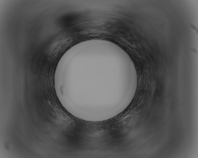 X0000093090820200710171136