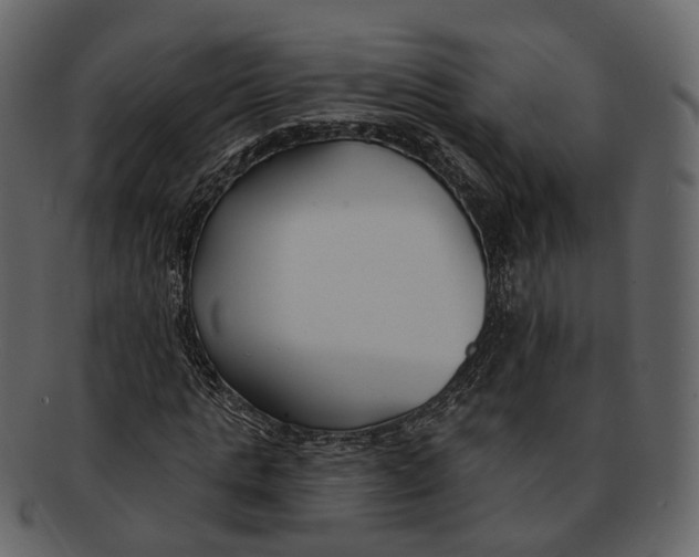 X0000093090821200710171136