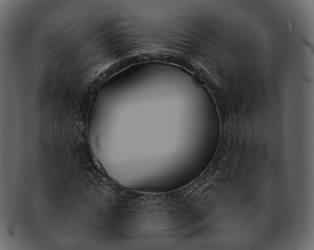 X0000093090822200710171136