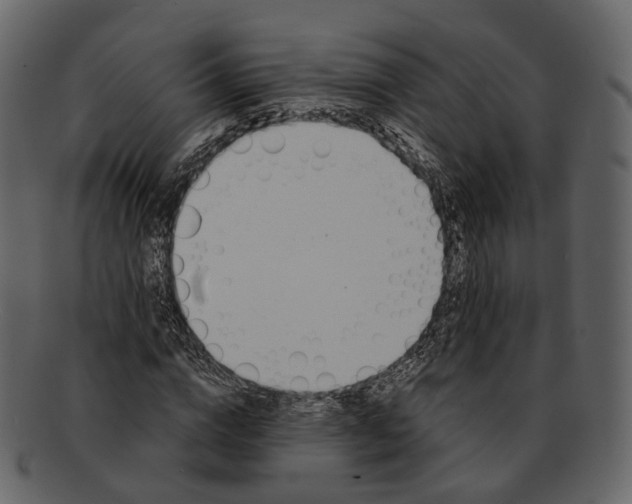 X0000093090824200710171136