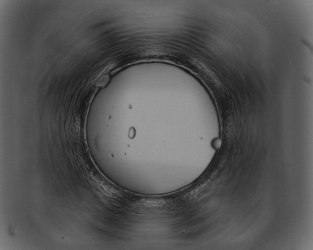 X0000093090825200710171136