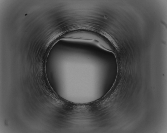 X0000093090826200710171136