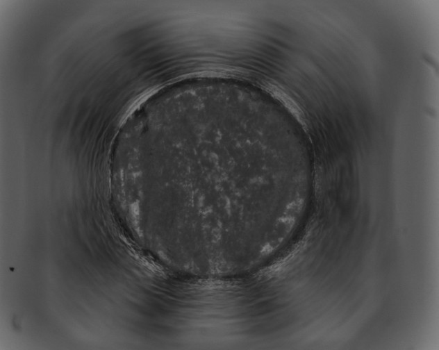 X0000093090829200710171136