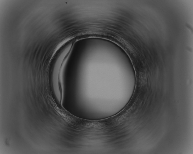 X0000093090830200710171136