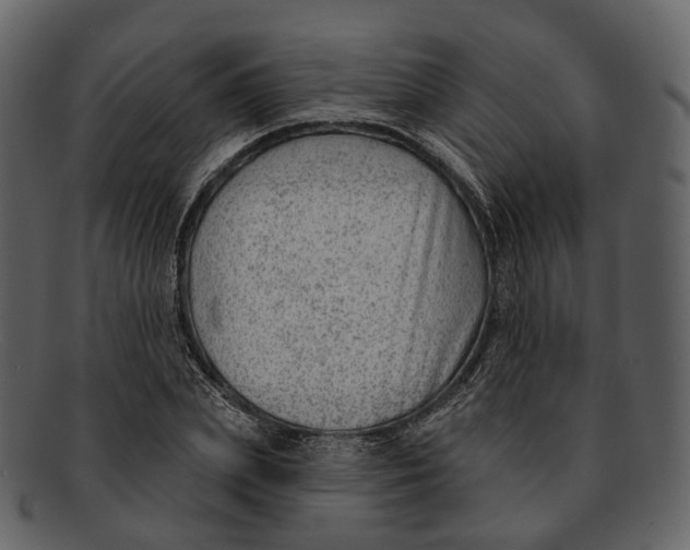 X0000093090831200710171136