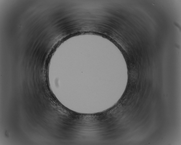 X0000093090832200710171136