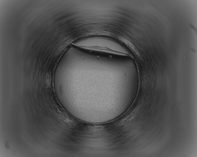 X0000093090833200710171136