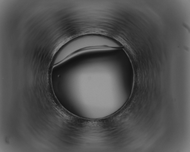 X0000093090834200710171136