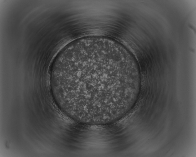 X0000093090835200710171136