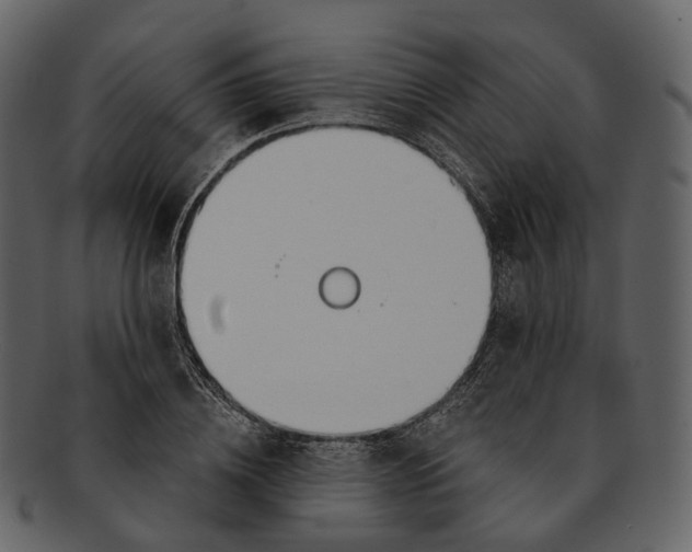 X0000093090836200710171136