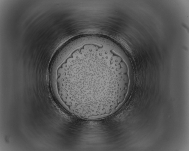 X0000093090839200710171136