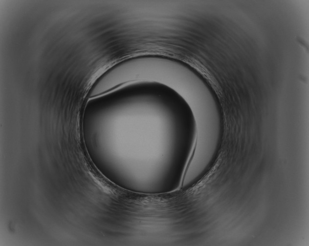 X0000093090842200710171136