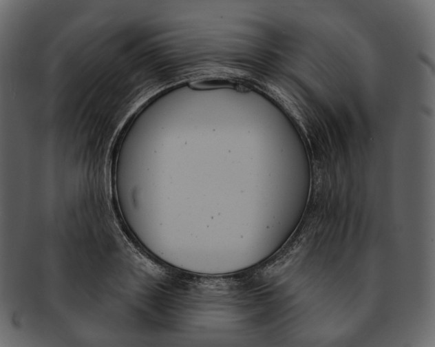 X0000093090843200710171136