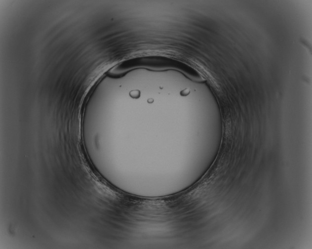 X0000093090844200710171136