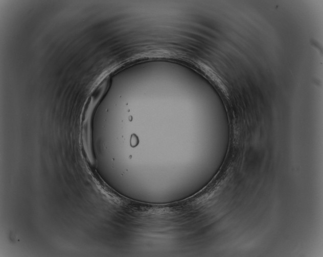 X0000093090845200710171136