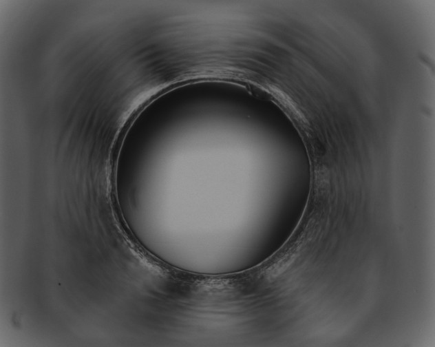 X0000093090846200710171136