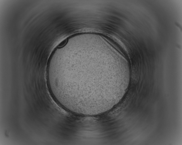 X0000093090847200710171136