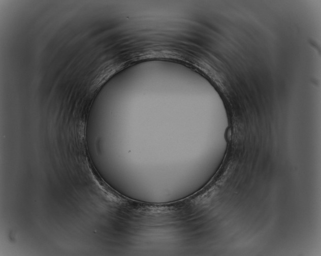 X0000093090849200710171136