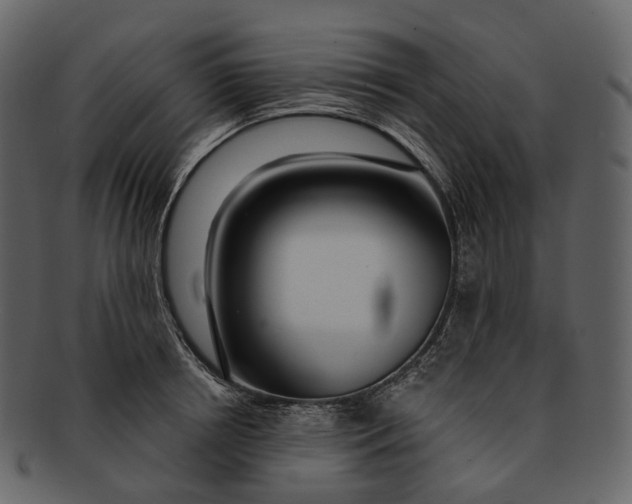 X0000093090850200710171136