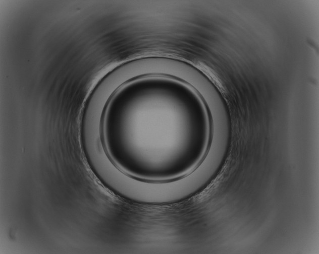 X0000093090854200710171136